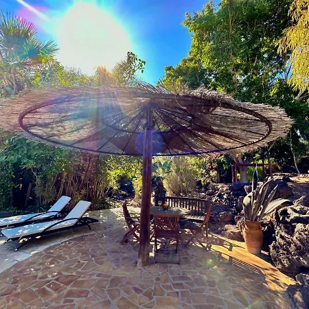 Tropical Garden *