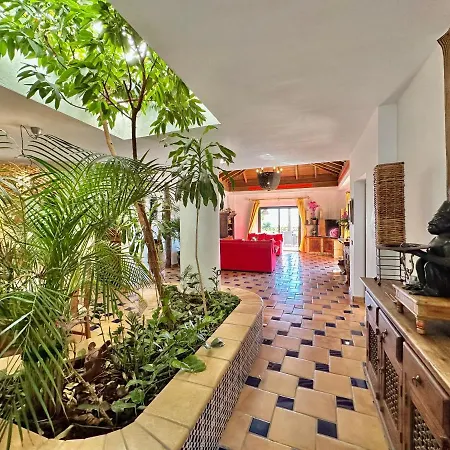 Tropical Garden * Guía de Isora