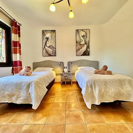 Tropical Garden * Guía de Isora