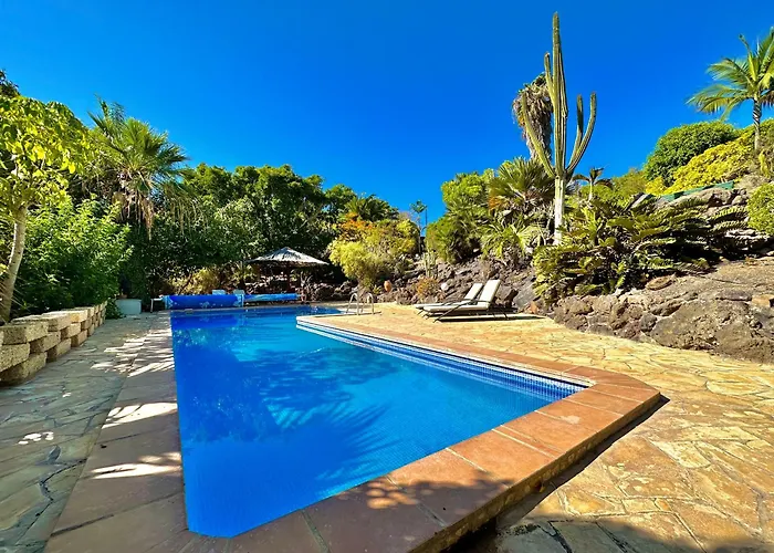 Tropical Garden