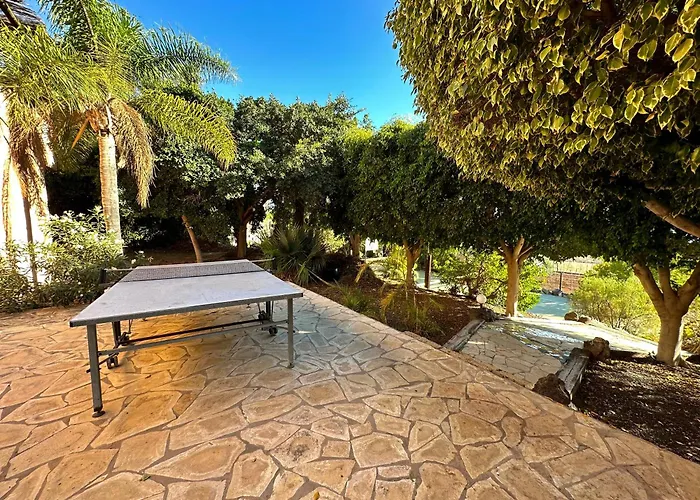 Tropical Garden