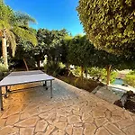 Tropical Garden