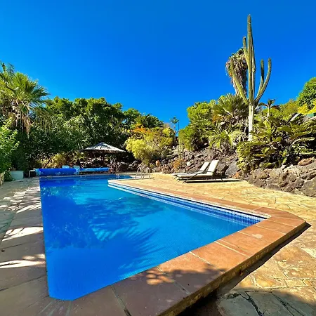 Tropical Garden